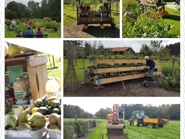 L'écureuil | Pays-Bas, Gueldre, Wells - chalet juste à l'extérieur du parc se trouve un jardin de cueillette avec des arbres fruitiers et divers fruits et légumes.