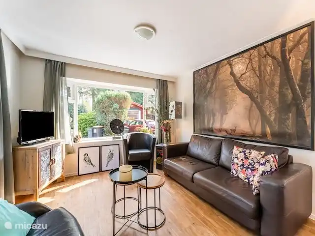 L'écureuil | Pays-Bas, Gueldre, Wells - chalet
