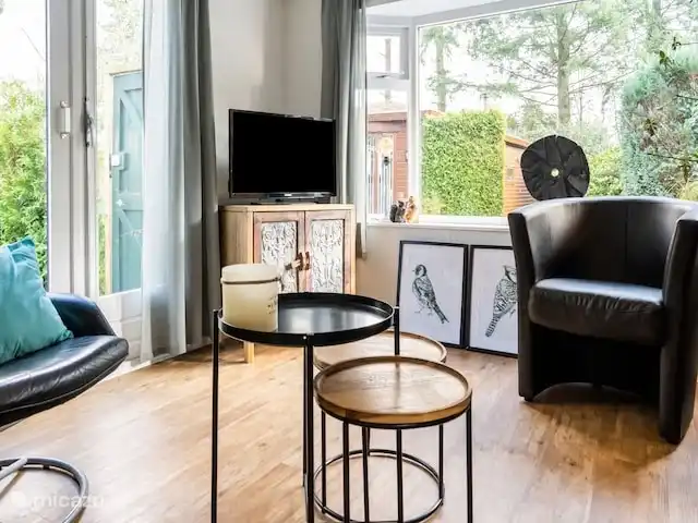 L'écureuil | Pays-Bas, Gueldre, Wells - chalet