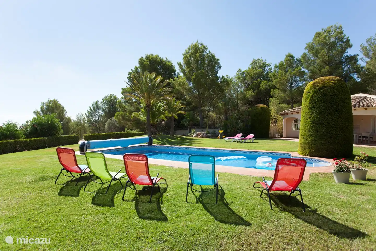 garden with grass and sunbeds