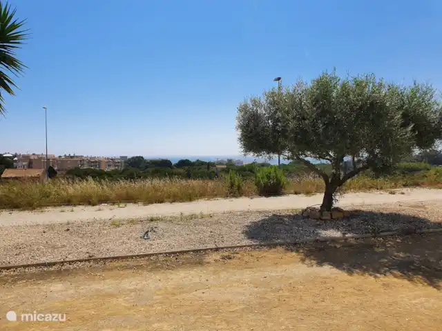 Casa Dulce Vida | Espagne, Costa Blanca, Guardamar del Segura - appartement Vue mer depuis la terrasse