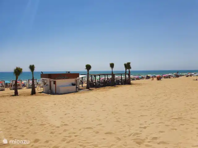 Casa Dulce Vida | Espagne, Costa Blanca, Guardamar del Segura - appartement Plage de sable à distance de marche