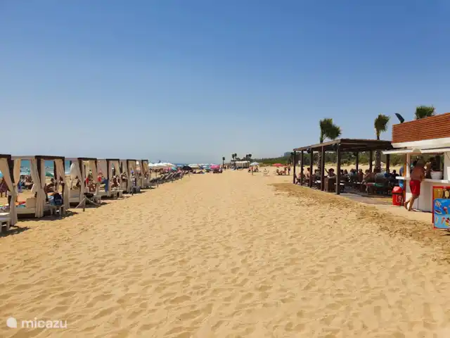 Casa Dulce Vida | Espagne, Costa Blanca, Guardamar del Segura - appartement Plage de sable à distance de marche