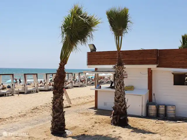 Casa Dulce Vida | Espagne, Costa Blanca, Guardamar del Segura - appartement Plage de sable à distance de marche