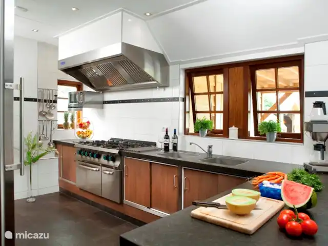 el brasero en Países Bajos, Overijssel, Losser - casa vacacional Cocina de hostelería profesional.
