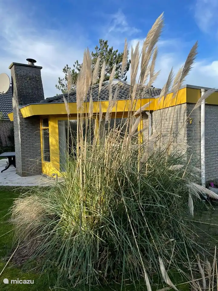 Étoile de mer 7 Julianadorp aan Zee. | Pays-Bas, Hollande du Nord, Julianadorp aan Zee - Bungalow