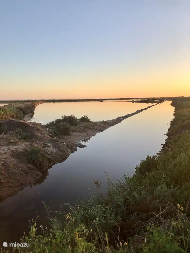 Ria Formosa, una reserva natural con hermosas vistas y varias especies de aves únicas, incluidos los flamencos, justo en el apartamento.
