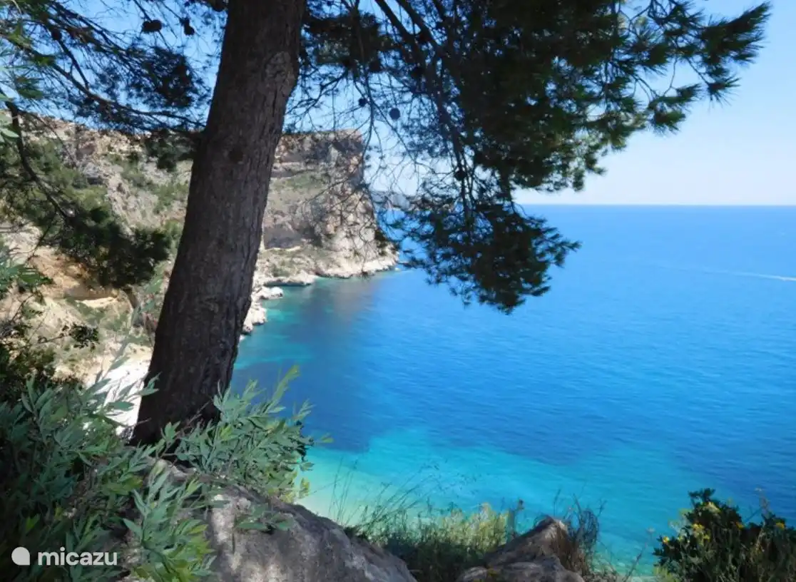 Promenades côtières spectaculaires