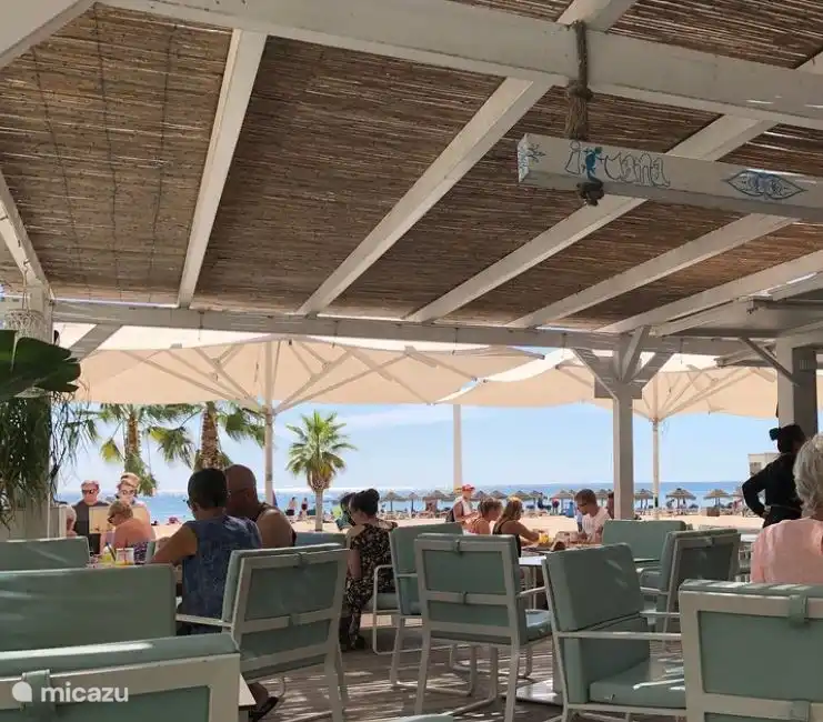 Nourriture et boissons délicieuses sur la plage