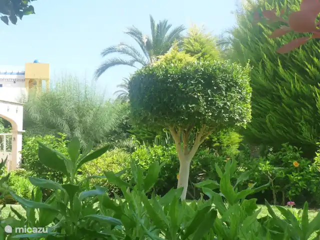 Casa Esquina Verde 100% bien-être ! | Espagne, Costa de Almeria, Vera-Plage - maison de vacances jardin
