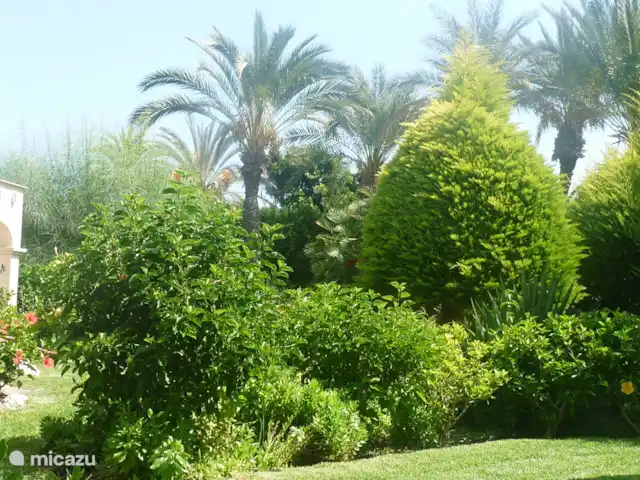 Casa Esquina Verde 100% bien-être ! | Espagne, Costa de Almeria, Vera-Plage - maison de vacances jardin