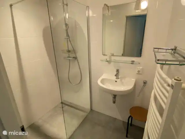 Bungalow Ruiterplaat avec intimité | Pays-Bas, Zélande, Kamperland - maison de vacances salle de bain 2 avec lavabo, douche à l'italienne et radiateur
