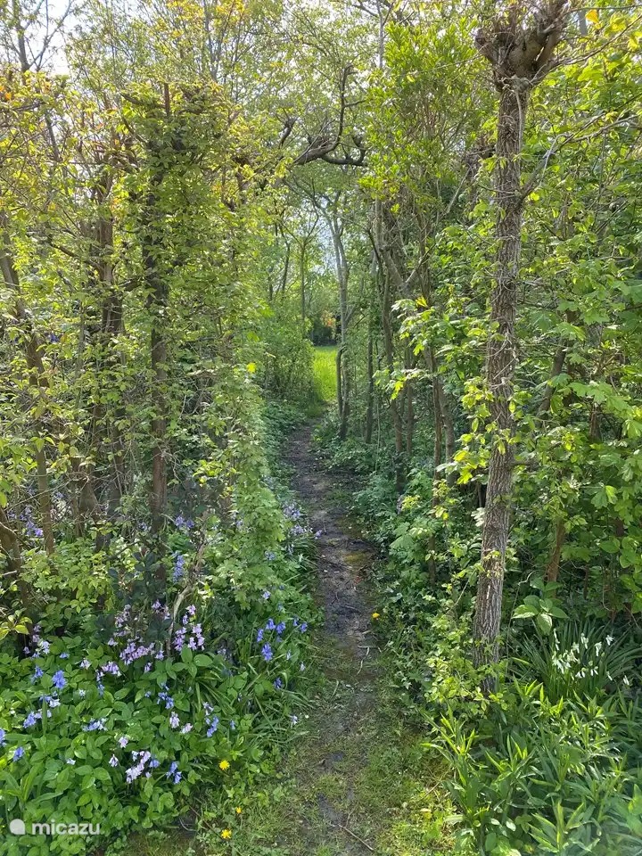 Weg vom Haus zum Graben hinten. Von dort können Sie schnell zur Veerse Meer laufen