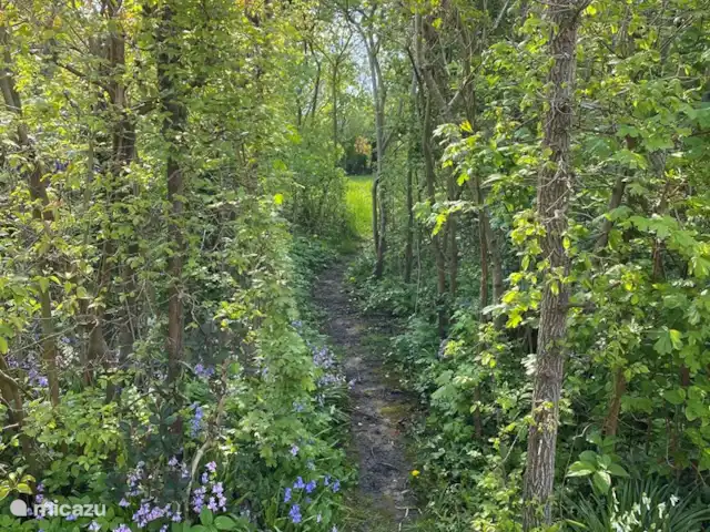 Bungalow Ruiterplaat avec intimité | Pays-Bas, Zélande, Kamperland - maison de vacances Chemin de la maison au fossé derrière. De là, vous pouvez rapidement marcher jusqu'au Veerse Meer
