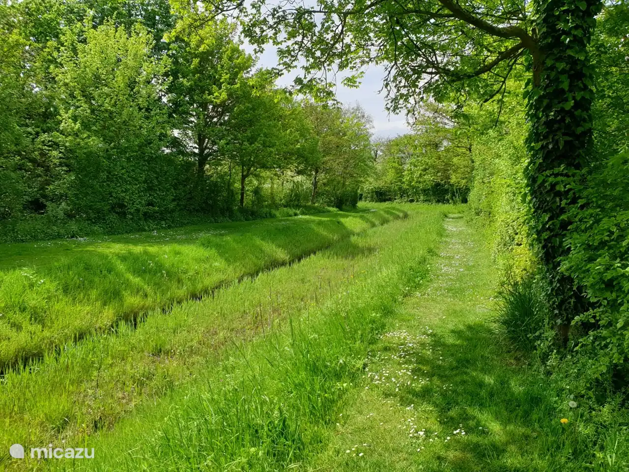 Graben hinter dem Haus
