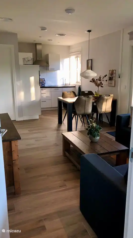 sala de estar + comedor