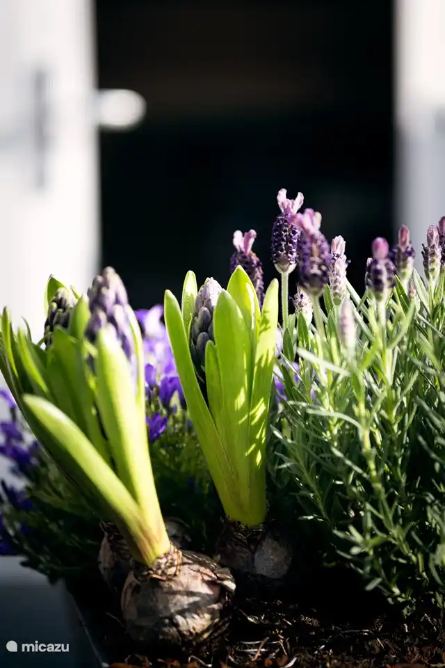 Gezelligheid op het terras