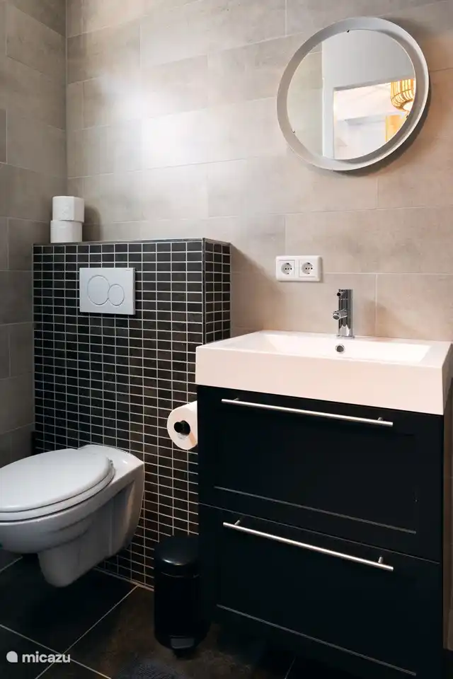 Badkamer met toilet