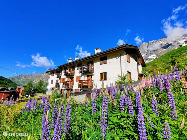 Vakantiehuis Italië, Piëmont, Cervinia - appartement Skichalet Bassi ski in ski out