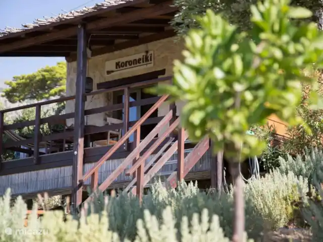 Location de Vacances Grèce, Crète, Koutsouras, gîte / cottage - Kalyvitis Cottage dans l’oliveraie De la terrasse vous avez une vue imprenable sur la verdure, mais à 5 minutes en voiture vous êtes sur une plage tranquille et vous pourrez vous baigner dans la mer bleu azur.