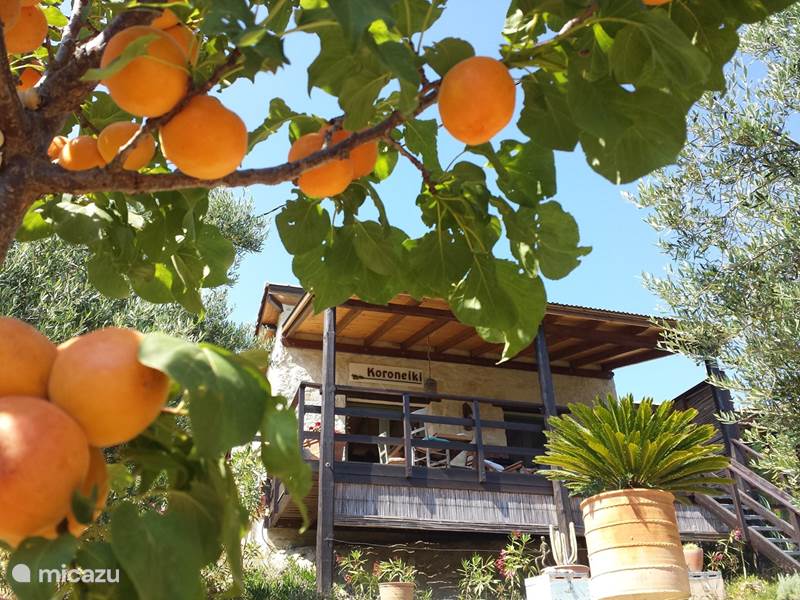 Ferienwohnung Griechenland, Kreta, Koutsouras Ferienhaus Kalyvitis Ecolodge im Olivenhain