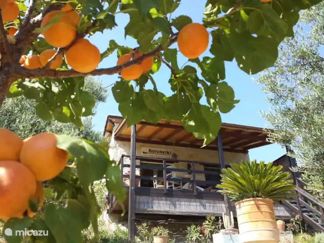 Location de Vacances Grèce, Crète, Koutsouras, gîte / cottage - Kalyvitis Cottage dans l’oliveraie Location de Vacances Grèce, Crète, Koutsouras, gîte / cottage - Kalyvitis Cottage dans l’oliveraie