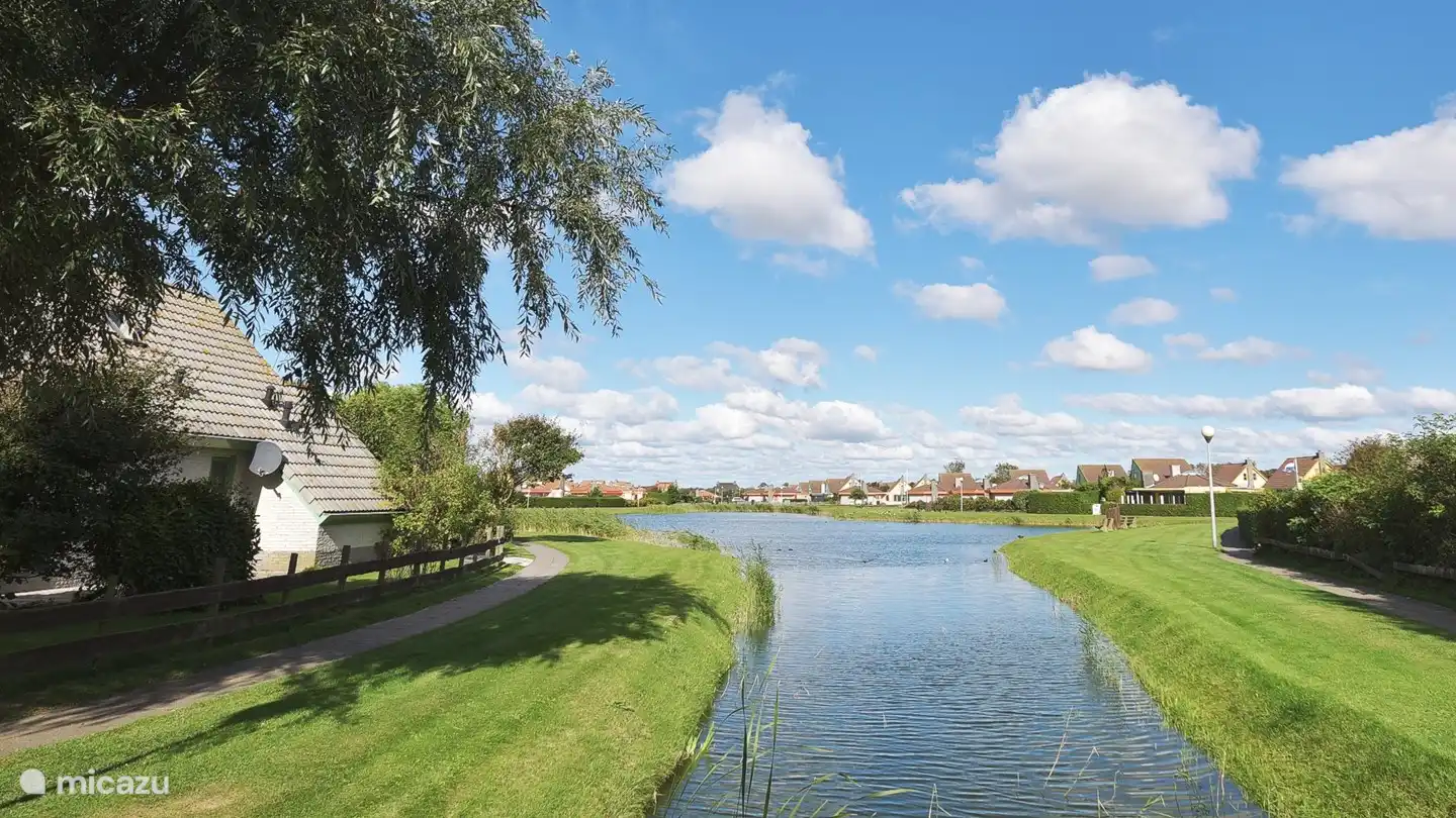 View of the beautiful water of the park.