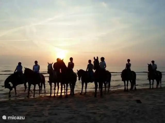bungalow huren in Nederland, Noord-Holland, Julianadorp aan Zee – Albatros 308 Julianadorp aan Zee Strandrit