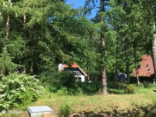 vakantiehuis huren in Nederland, Overijssel, Heeten – Salland Cottage