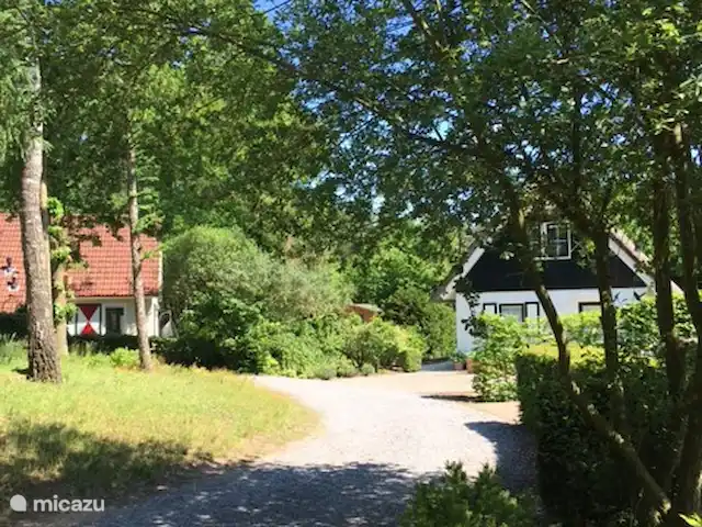 vakantiehuis huren in Nederland, Overijssel, Heeten – Salland Cottage Uitzicht vanaf de voortuin op het toegangspad, hier lopen s´ochtends de eekhoorntjes rond!