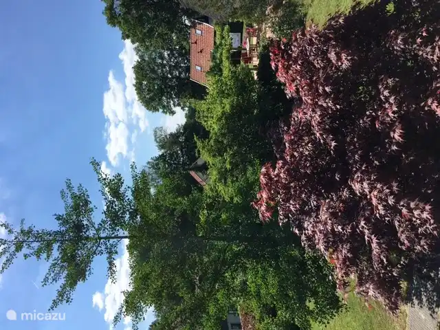 Mooi uitzicht over het park vanuit de slaapkamer aan de achterzijde.