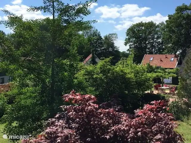 vakantiehuis huren in Nederland, Overijssel, Heeten – Salland Cottage Mooi uitzicht over het park vanuit de slaapkamer aan de achterzijde.
