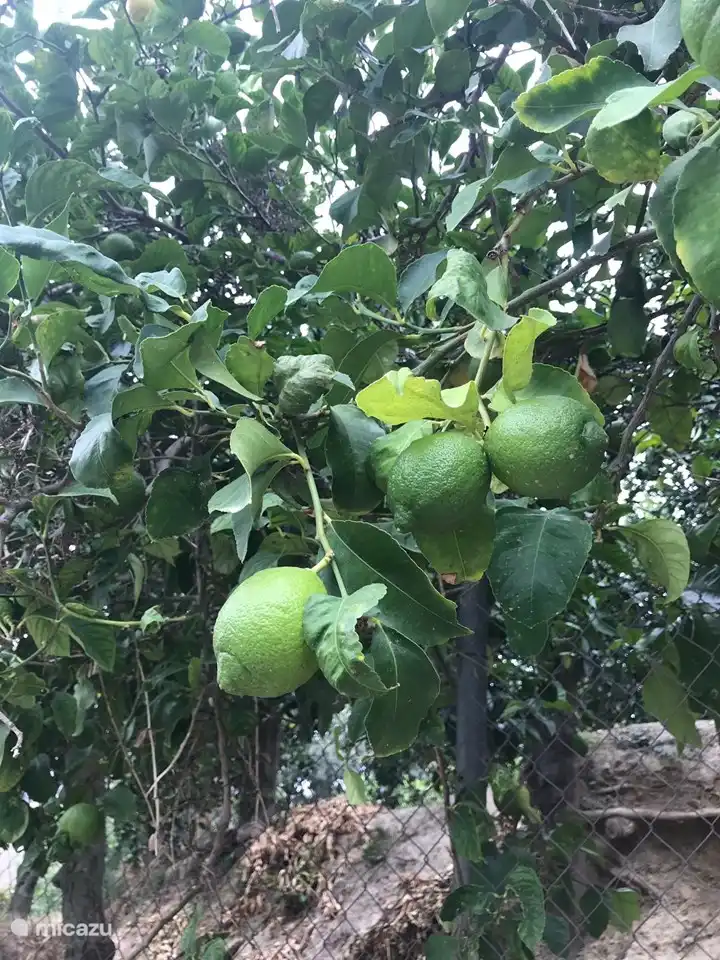 Melegis y alrededores