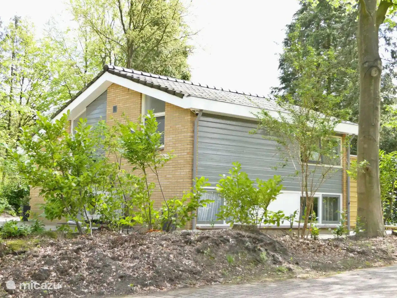 De Bosuil Drenthe, Dwingelderveld in Niederlande, Drenthe, Spier - ferienhaus