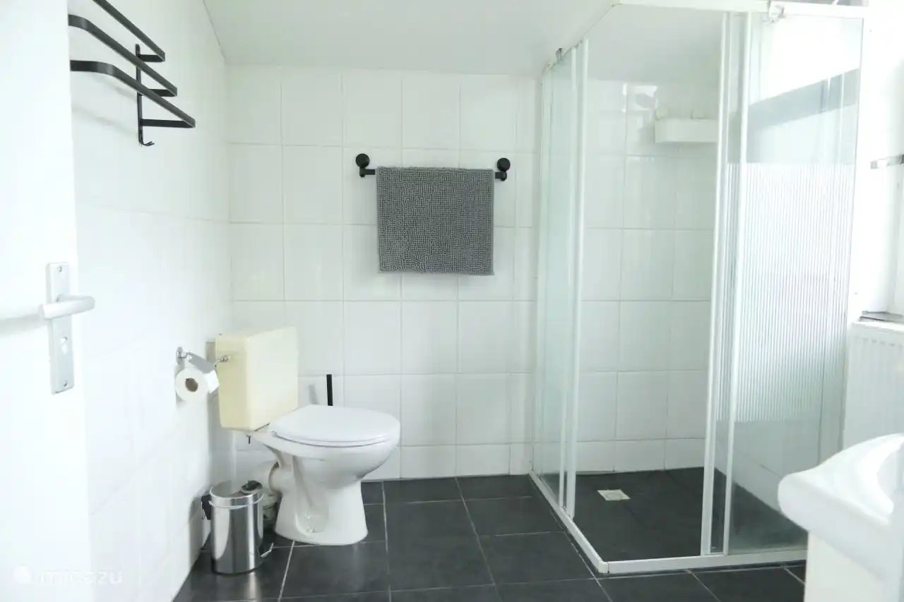 Badezimmer mit Duschkabine und WC.