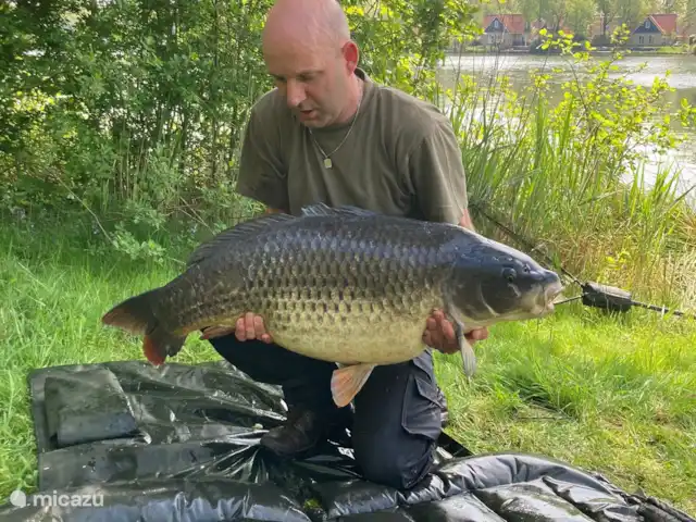 Maison de poisson | Pays-Bas, Drenthe, Westerbork - maison de vacances Ce groupe a réussi à capturer douze gros poissons en une semaine, qui pesaient pas moins de 23 kilos.