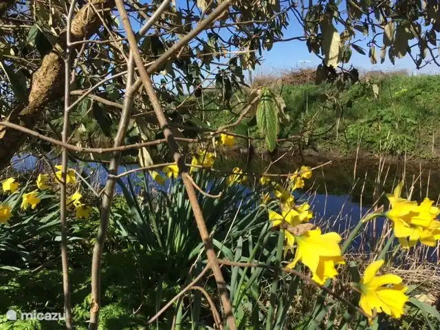 H@tsummers en Países Bajos, Frise, Dronrijp - chalet Primavera..!!