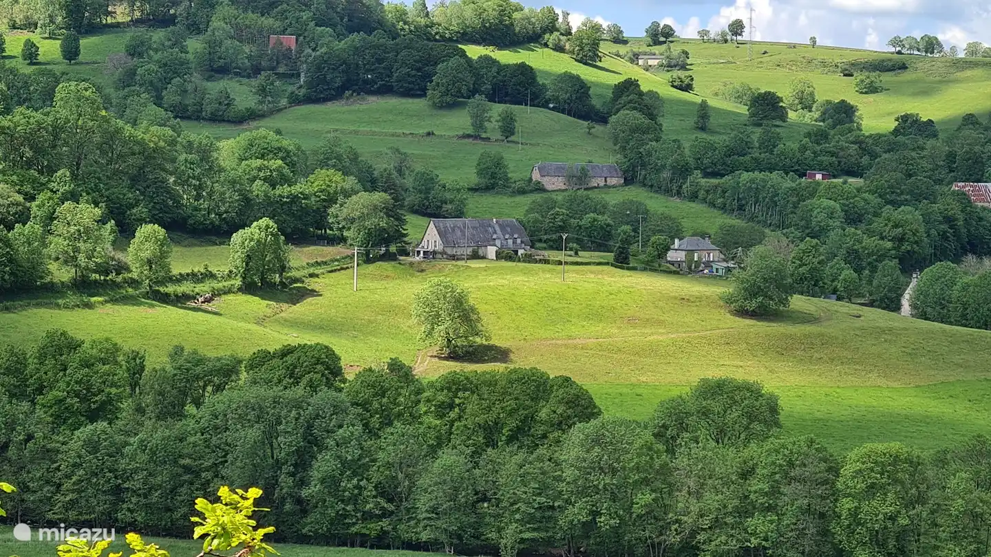 The house and the environment