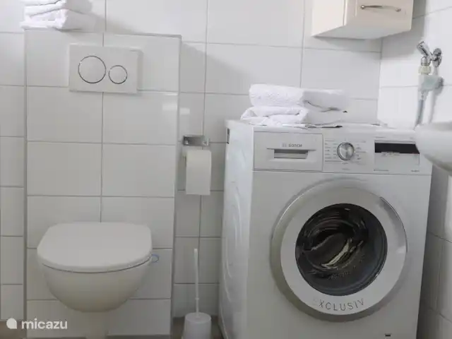 Huinerhofje 2; rust, privacy, natuur huren in Nederland, Gelderland, Putten - vakantiehuis Toilet en wasmachine op badkamer