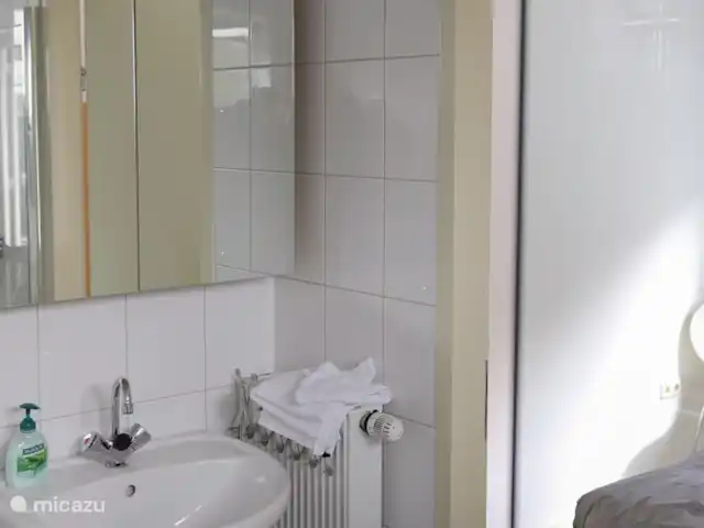 Huinerhofje 2; rust, privacy, natuur huren in Nederland, Gelderland, Putten - vakantiehuis Wastafel op badkamer
