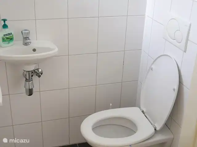 Huinerhofje 2; rust, privacy, natuur huren in Nederland, Gelderland, Putten - vakantiehuis Apart toilet in halletje