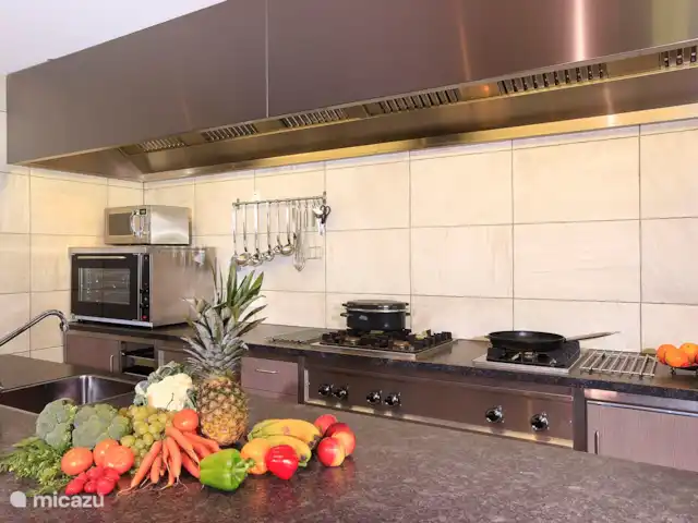 Location de Vacances Pays-Bas, Overijssel, Losser, maison de vacances - L'étoile