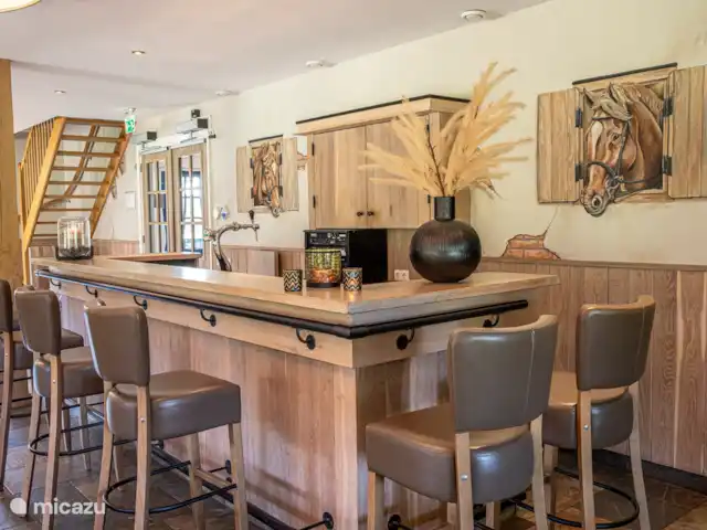 Location de Vacances Pays-Bas, Overijssel, Losser, maison de vacances - L'étoile