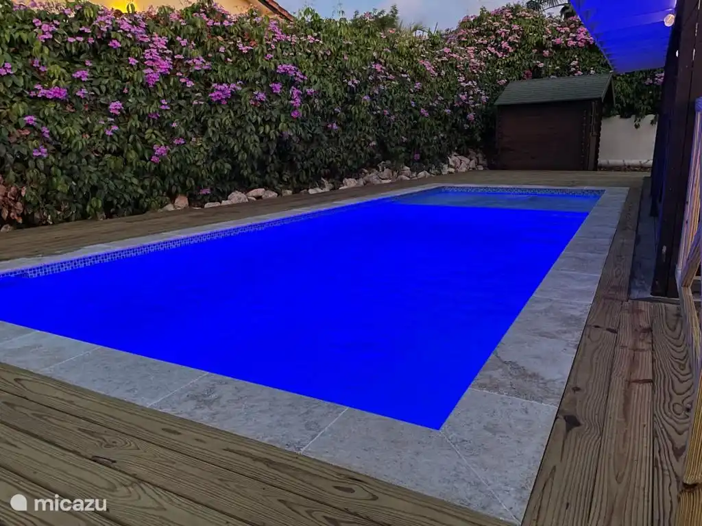 Piscina privada con piscina para niños e iluminación nocturna en el patio trasero