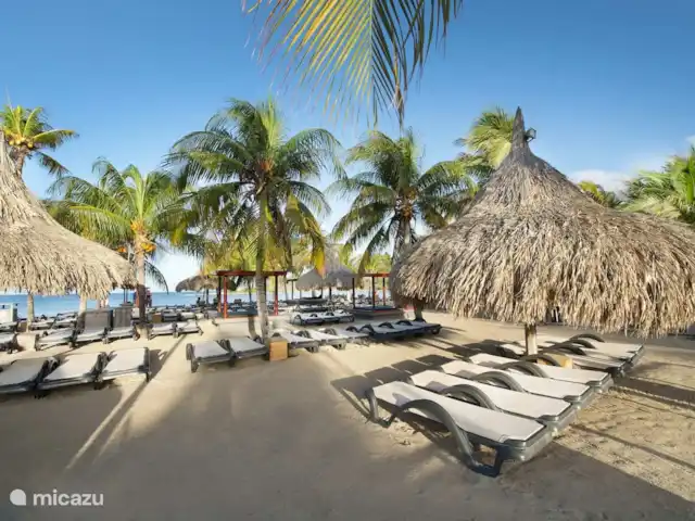 Location de Vacances Curaçao, Banda Ariba (est), Jan Thiel, maison de vacances - Kas Granjero Zanzibar sur Jan Thiel