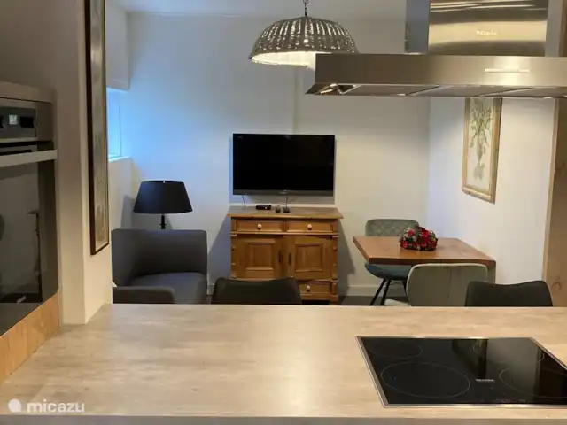 Maison de vacances 'De Schuure' | Pays-Bas, Gueldre, Winterswijk - maison de vacances