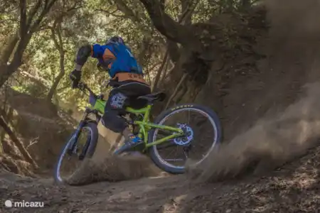 Ciclismo de montaña en el Achterhoek!