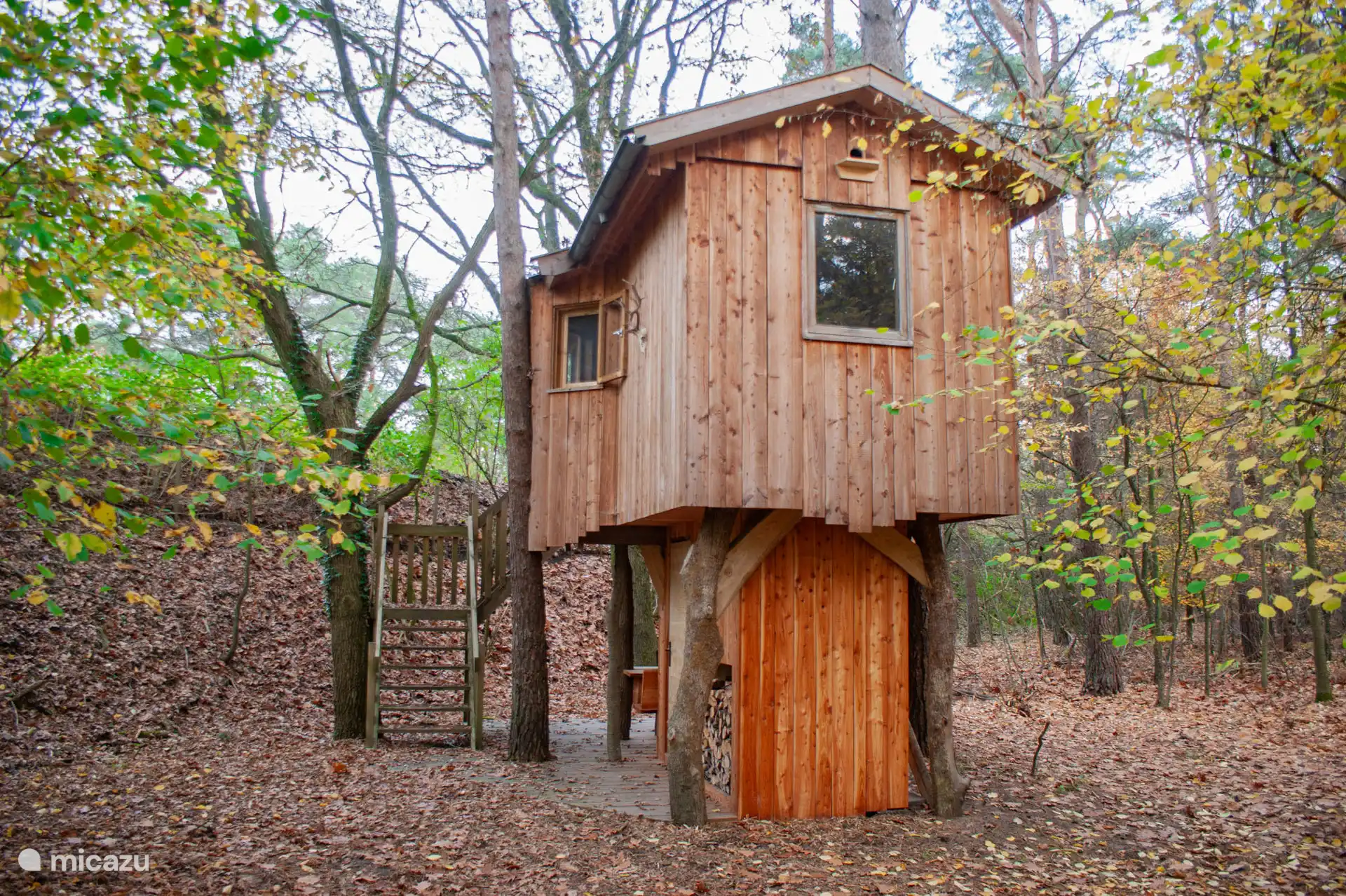 La casa del árbol se puede reservar extra para 2 personas