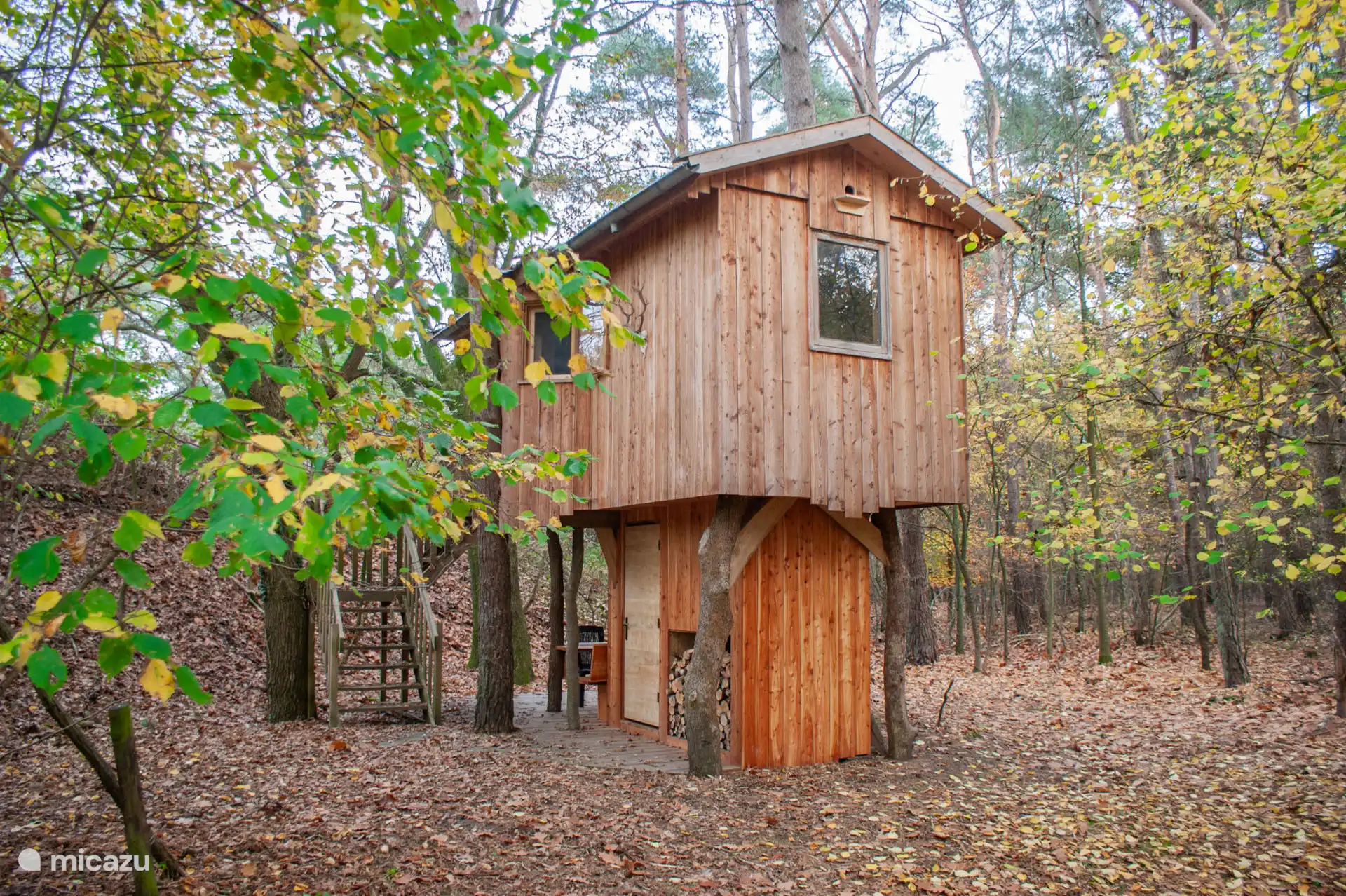 Casa del árbol con dos camas extra