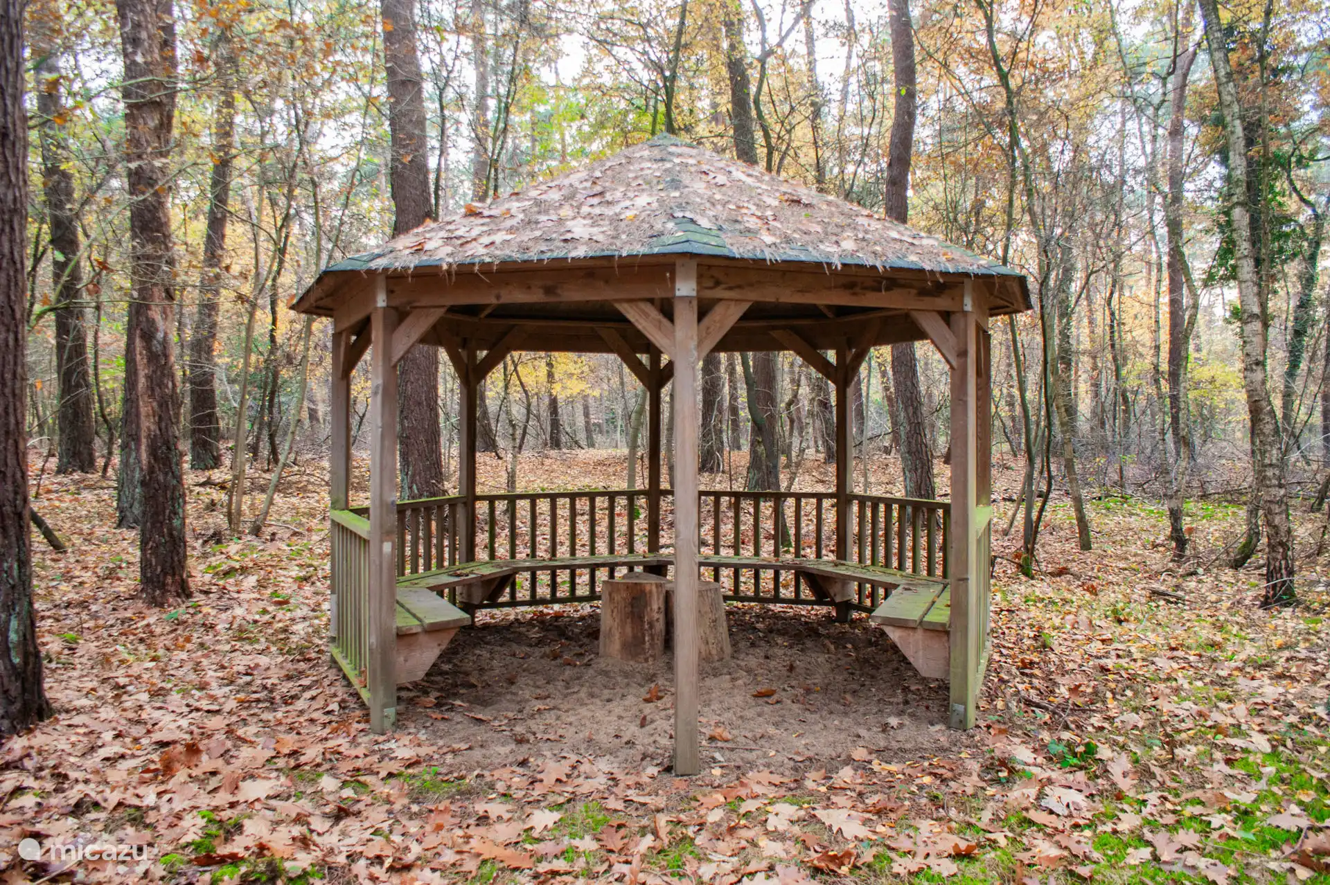 En la parcela de 3,5 hectáreas encontrarás esta cabaña escondida entre los árboles